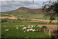 View from Corrstone Wood