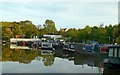 Enslow Marina