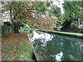 The New River at Palmers Green