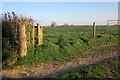 Field near King