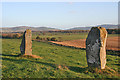 Druidsfield Standing Stones (5)