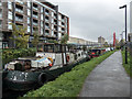 Hertford Union Canal, Stratford, London