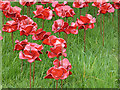 NZ2888 : "Weeping Window" (detail) by Oliver Dixon