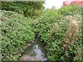 Drain next to the A419 near Swindon