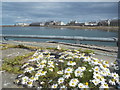 Stronsay: view across Whitehall harbour