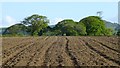 Bare field at Bluntshay