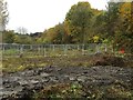 Silverdale: allotment site cleared for development