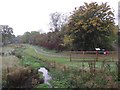 Lubbesthorpe Brook and Ossiers Nature Area