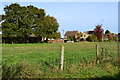 Field beside footpath north of Amesbury