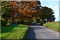 Autumn colour at Brigmerston Corner