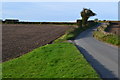 Lane between fields north from Ablington