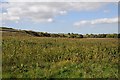 Field beside the Gloucester to Bristol Railway