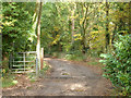 Bridleway to Burghfield Common