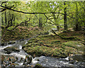 J3331 : Tollymore Forest Park by Mr Don't Waste Money Buying Geograph Images On eBay