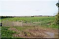 Seasonal fencing for livestock