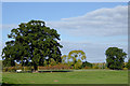 Pasture south of Chesterton, Shropshire