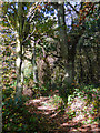 Public footpath to Chesterton, Shropshire