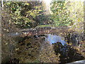 Lees Beck - viewed from Briggate Bridge