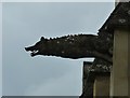 SO8001 : Woodchester Mansion - Boar gargoyle by Rob Farrow