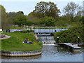 Weir and footbridge at Kingswood Junction