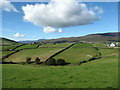 Drumlin on the west side of the Aughrim Valley