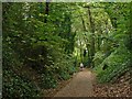 Harborne Walkway near Hagley Road Bridge