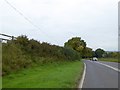 ST1319 : Wide verge by A38 (Oldway Road) west of Stallards by David Smith