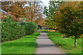 Path between Sunna Gardens and French Street