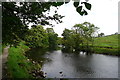 SE0261 : The Dales Way footpath alongside the Wharfe by Tim Heaton