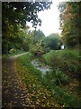 River Lud, near Crowtree Lane