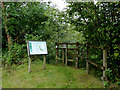 Woodland north-west of Lampeter, Ceredigion