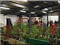 TF4509 : Going going gone! Maxey Grounds auction hall, Wisbech - Photo 8 of 12 by Richard Humphrey