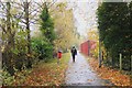 Footpath to Selkirk