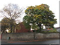 Stone wall, Old Brumby Street