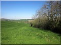 Footpath to the Axe