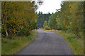 Road heading up the valley of the River Dulnain