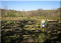 Bracketts Coppice Nature Reserve