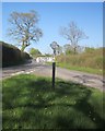 ST5107 : Signpost near Halstock Leigh by Derek Harper
