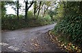 Lane heading towards Upcott