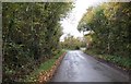 Rural lane south of South Hill