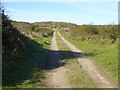 The American Road near South Burrow Cottage