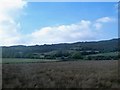 Valley floor bog land between the B175 and Dunmore Mountain