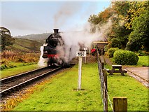 SD7920 : Steam Train at Irwell Vale by David Dixon
