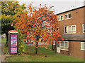 SE2434 : Phone box with autumn colours by Stephen Craven