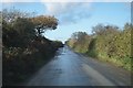 Rural lane approaching Upcott Cross