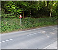 Warning sign - cattle grid ahead, Burleigh