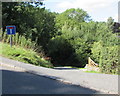 Steep side road, Burleigh