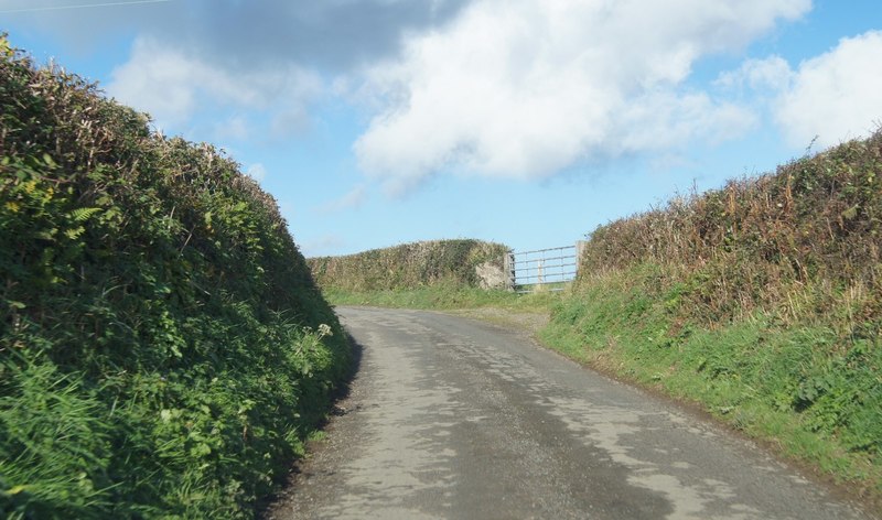 Typical Devon lane © Mr Ignavy :: Geograph Britain and Ireland