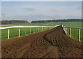 Newmarket: gallops and Warren Hill