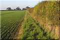 Hedge by the B5388